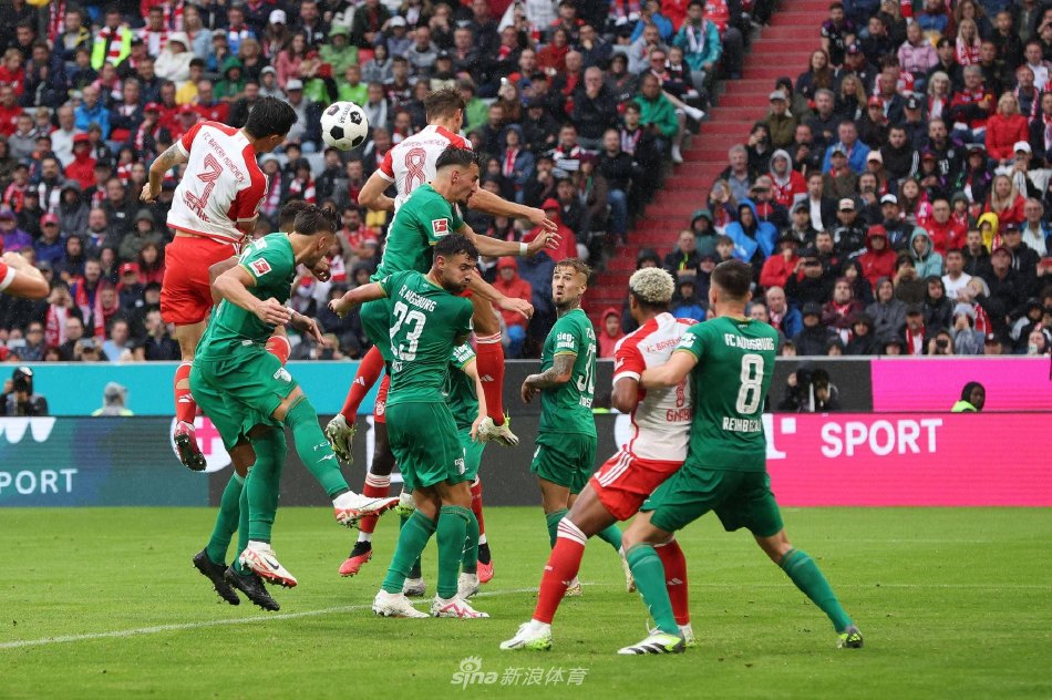 的幸福感后 的幸福感后